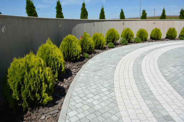 Best Driveway Pavers Near Me  in Corinth, TX